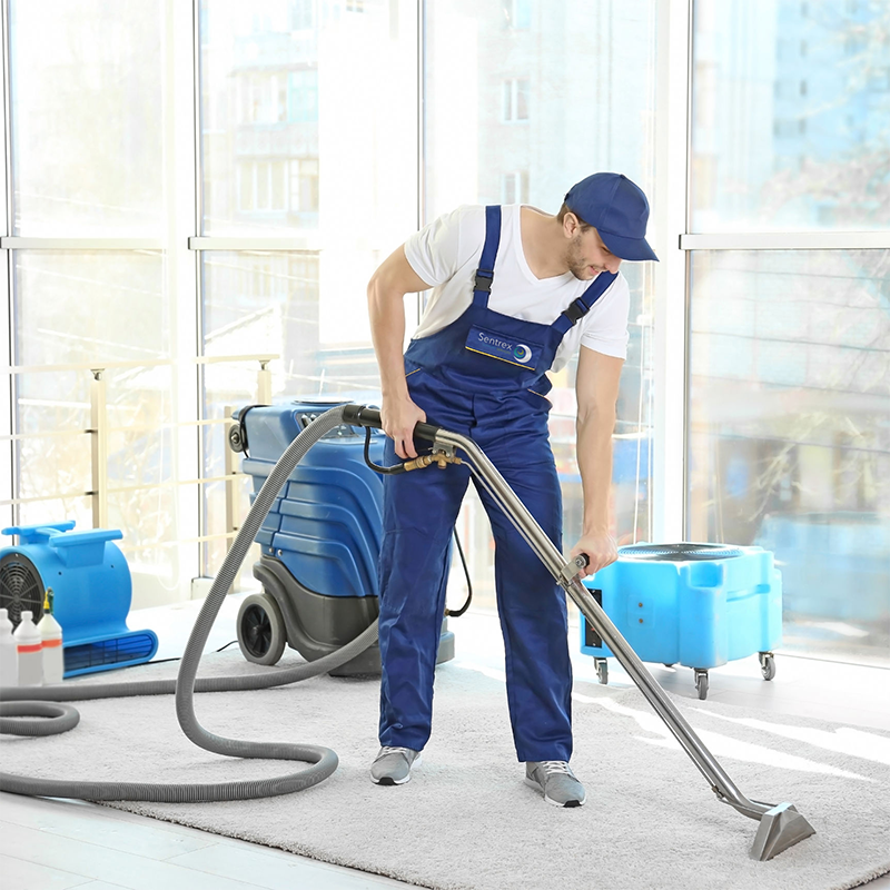 Professional Carpet Cleaning Brisbane | Carpet Clean Expert