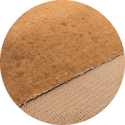 Carpet Mould Removal | Carpet Clean Expert 