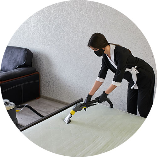 Mattress Dust Mites Treatment | Carpet Clean Expert